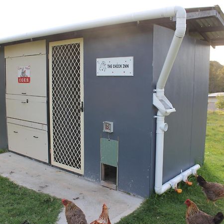 Bryn Glas Farm Stay Moruya Exterior foto