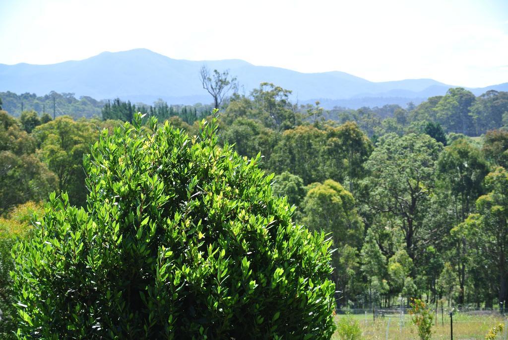 Bryn Glas Farm Stay Moruya Exterior foto