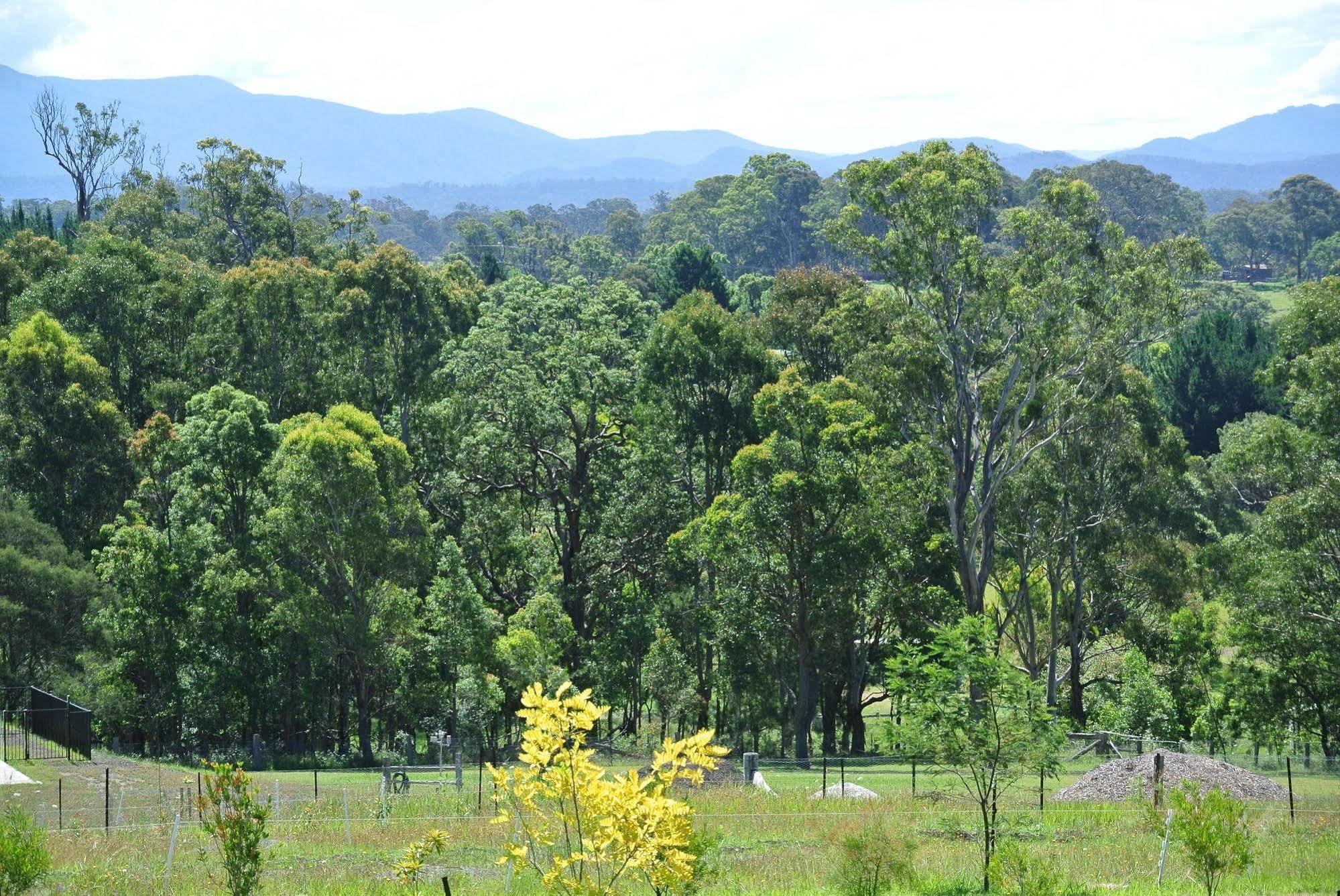 Bryn Glas Farm Stay Moruya Exterior foto