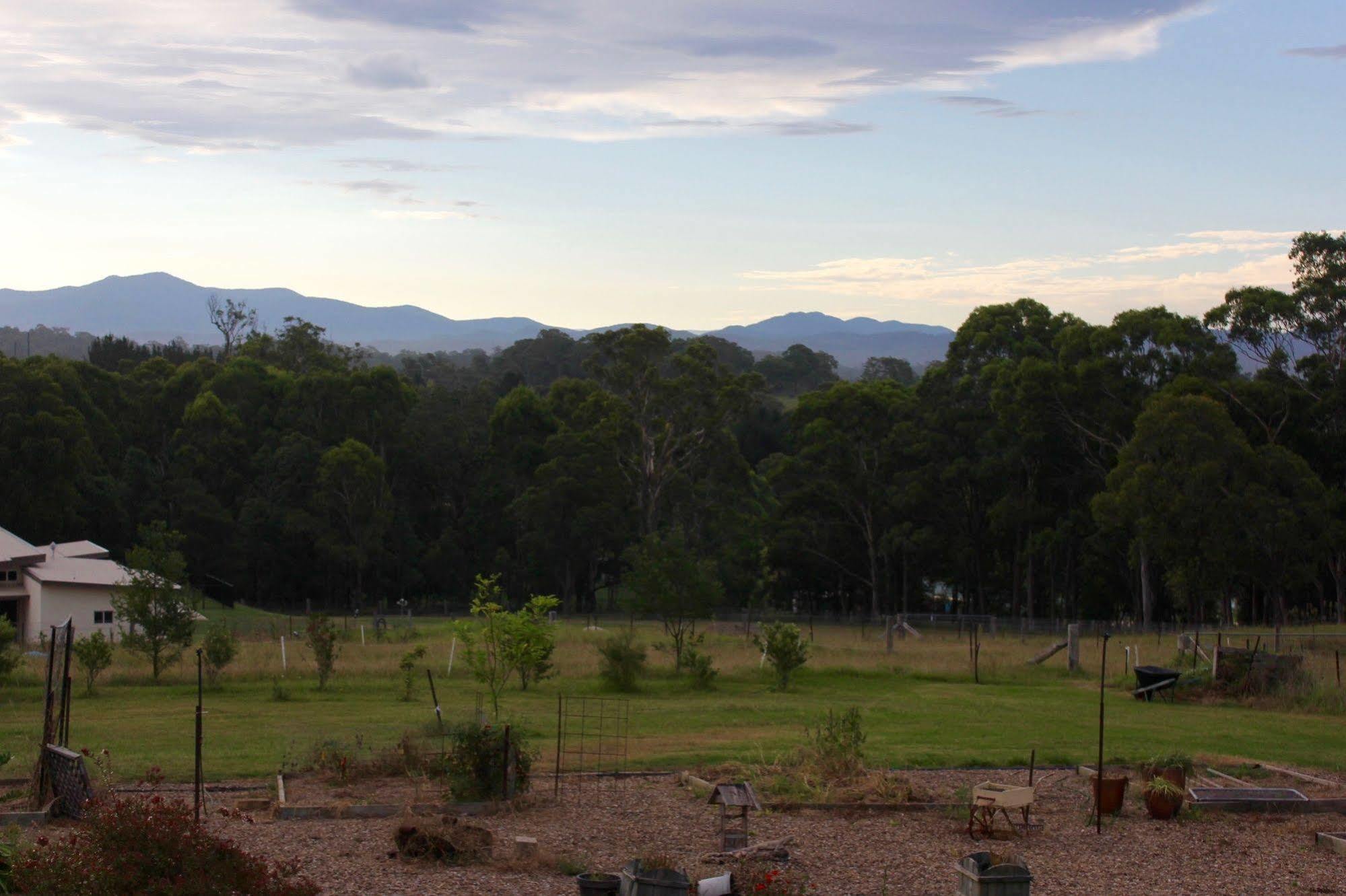 Bryn Glas Farm Stay Moruya Exterior foto