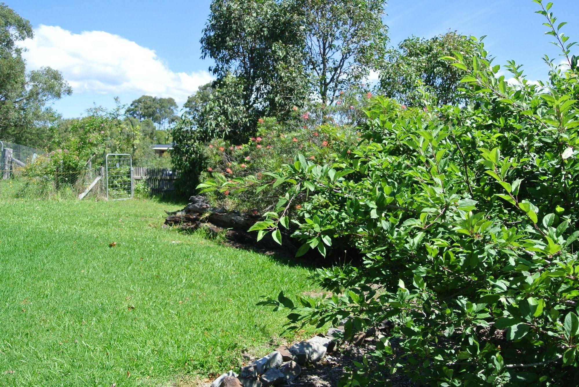 Bryn Glas Farm Stay Moruya Exterior foto